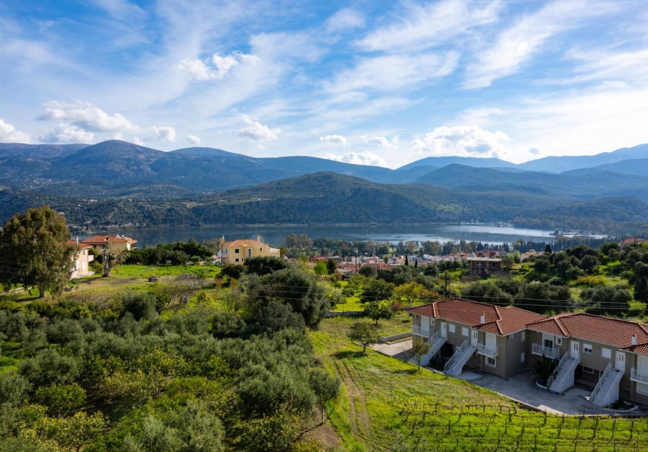 Apaggio Di Argostoli Apartments - Private Parking & Sea View Экстерьер фото